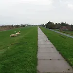 Seemoewe Mit Deichblick Butjadingen-burhave *