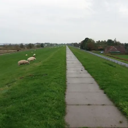 Seemoewe Mit Deichblick Butjadingen-burhave *