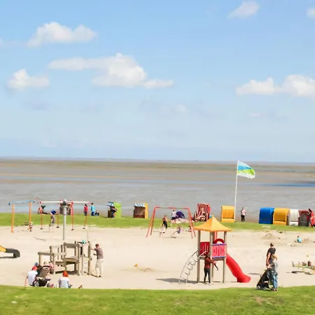 Seemoewe Mit Deichblick Butjadingen-burhave * بورهاف