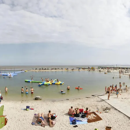 Seemoewe Mit Deichblick Butjadingen-burhave