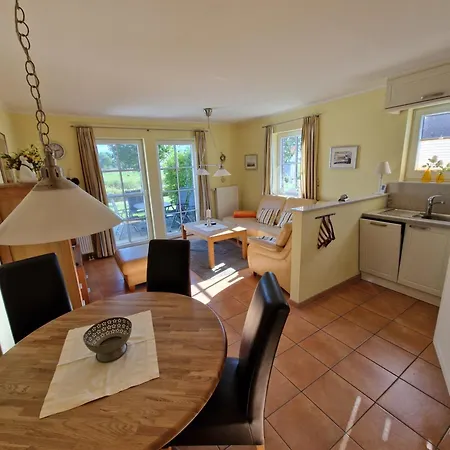 Seemoewe Mit Deichblick Butjadingen-burhave *