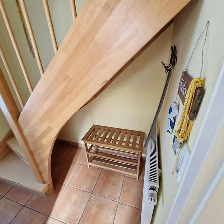 Seemoewe Mit Deichblick Butjadingen-burhave