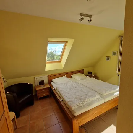 Seemoewe Mit Deichblick Butjadingen-burhave * ブルハーフェ