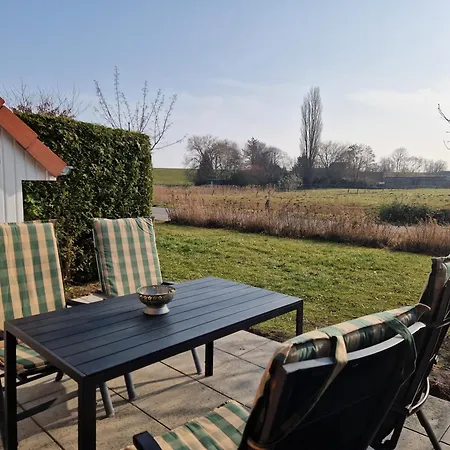 Seemoewe Mit Deichblick Butjadingen-burhave *