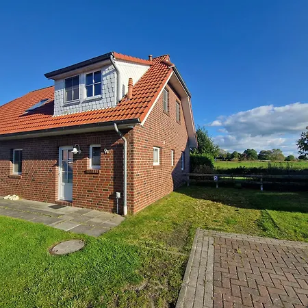 Seemoewe Mit Deichblick Butjadingen-burhave بورهاف