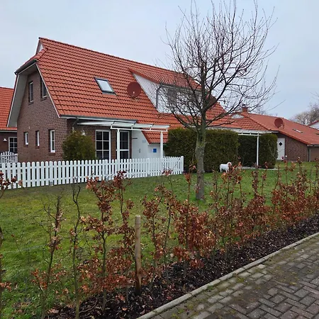 Seemoewe Mit Deichblick Butjadingen-burhave بورهاف