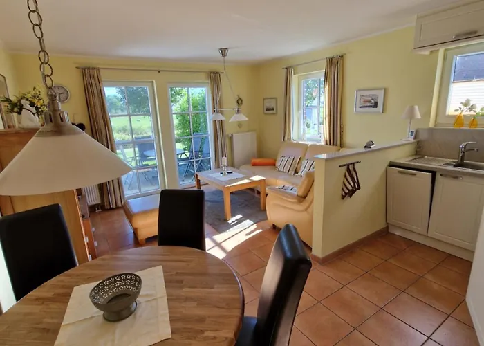 Seemoewe Mit Deichblick Butjadingen-burhave *