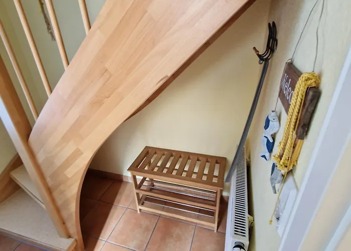 Seemoewe Mit Deichblick Butjadingen-burhave