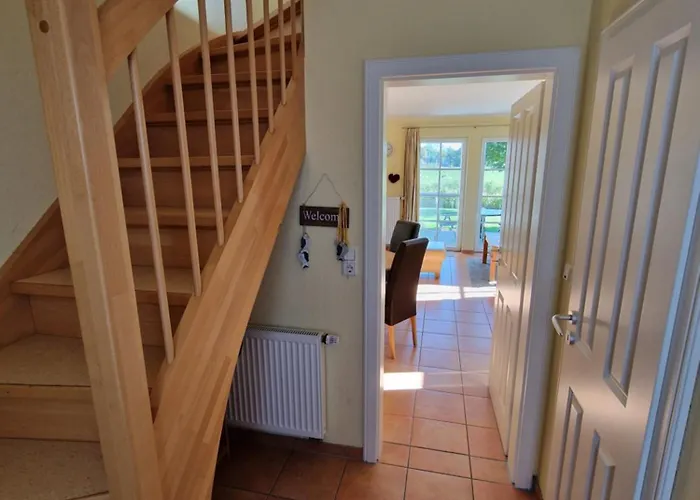 Seemoewe Mit Deichblick Butjadingen-burhave *